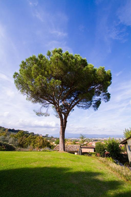 Appartement Casa Limonaia à Arezzo Chambre photo
